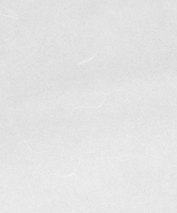 Tough Top Warlon reinforced paper for shoji screens